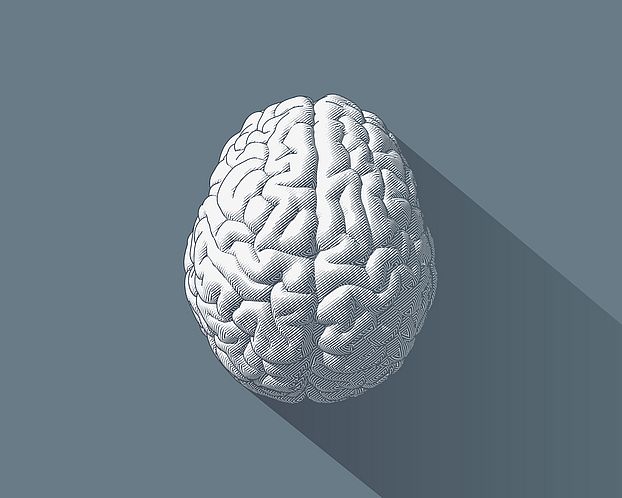3D Brain on a gray surface